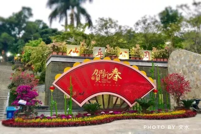 厦门夜景最美公园排名前十的地方,厦门公园美景视频