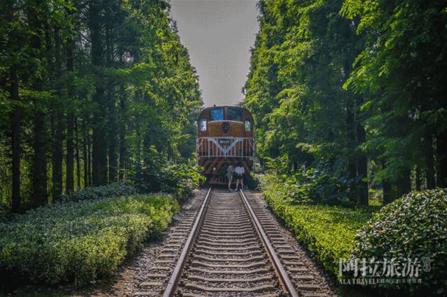 宁波室外十大网红游乐项目,宁波休闲打卡地