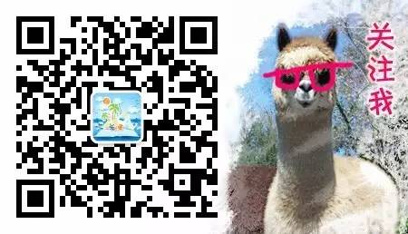 新手入门全套滑雪装备推荐,新手小白滑雪入门全攻略