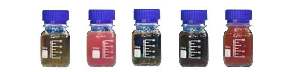 70岁老人补肾最佳方法,50岁男人补肾最快的方法