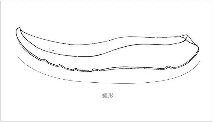 专为父母设计的健步鞋，防滑轻巧、透气时髦，我们自己穿也行！