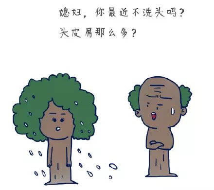 最近过半中国人都在噗噗噗呸呸，一开门，心里飘过一万头羊驼…