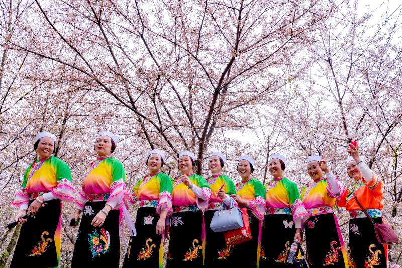 5.19旅游日贵州免门票,贵州6.16到8.31免门票还是半价