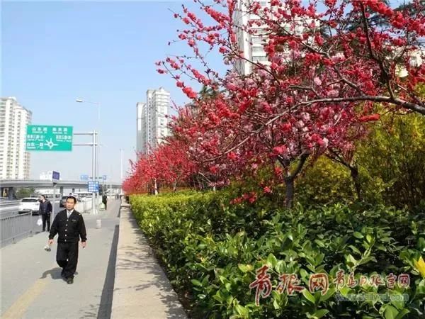 闈掑矝缁濈編鐎戝竷,闈掑矝绱壊鐎戝竷