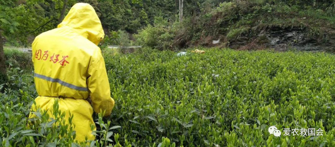 宀╄尪鍒惰尪鏁欏,鍒惰尪宸ヨ壓涓庤尪鏂囧寲