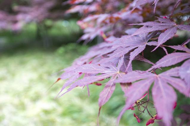 临沂四天三晚带娃旅游攻略,山东临沂晚上旅游攻略