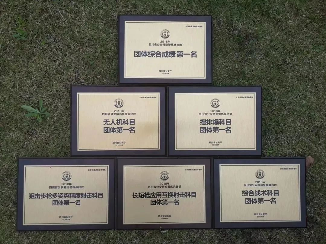 成都特警夜巡,成都特警最新消息