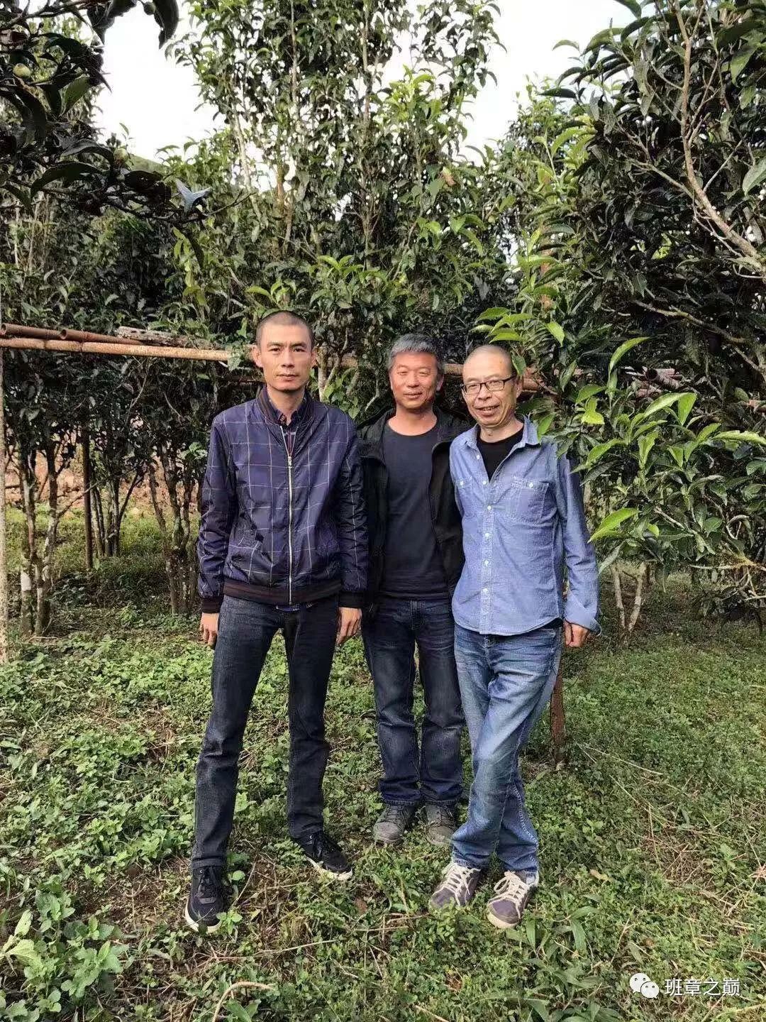 品一杯香茗赏千古美文,品一杯香茗感受诗和远方