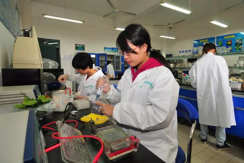 赣州外来务工人员孩子入学政策,高级职称的人才子女入学有优惠么