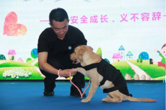 在哪里可以看龙珠直播平台,龙珠直播ios怎么下