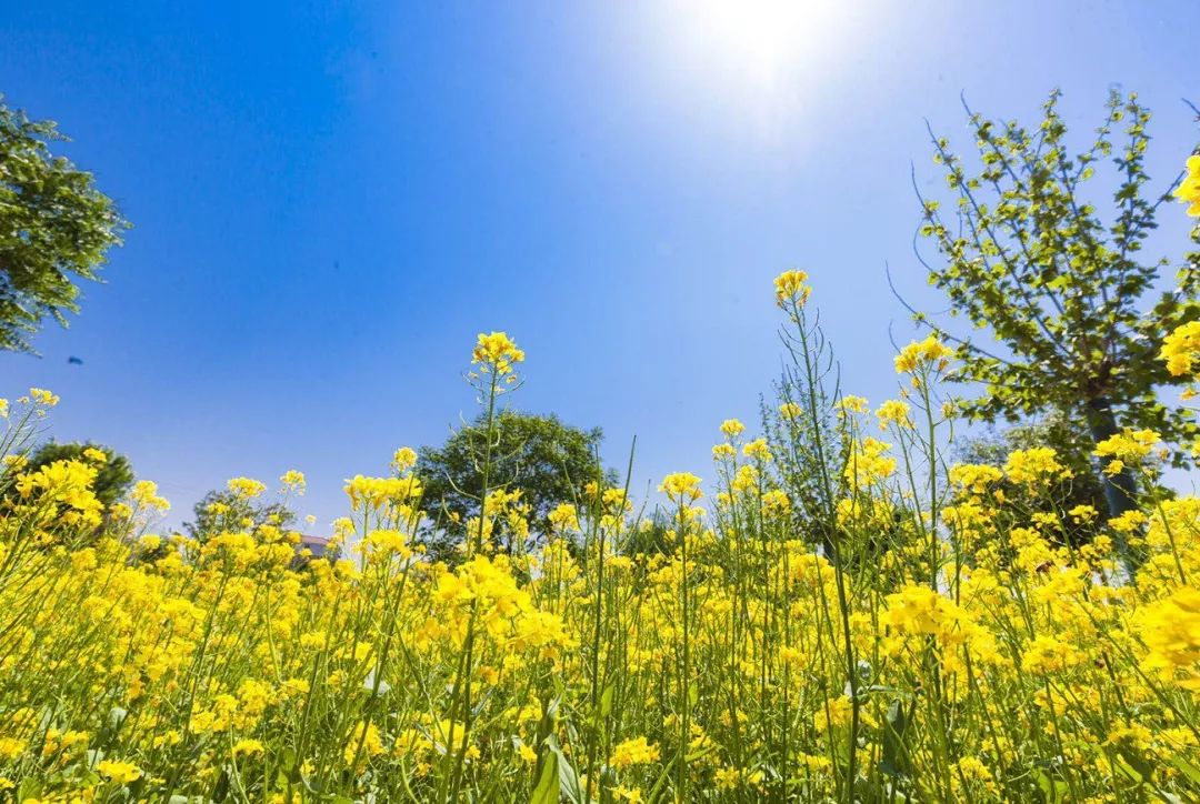开发区的美,开发区最美风景