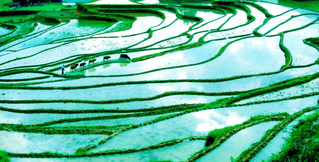 中国露营看星空最美的地方,国内最美星空露营地