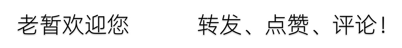 海鸥4a和4b怎么选,海鸥4a和4b哪个好