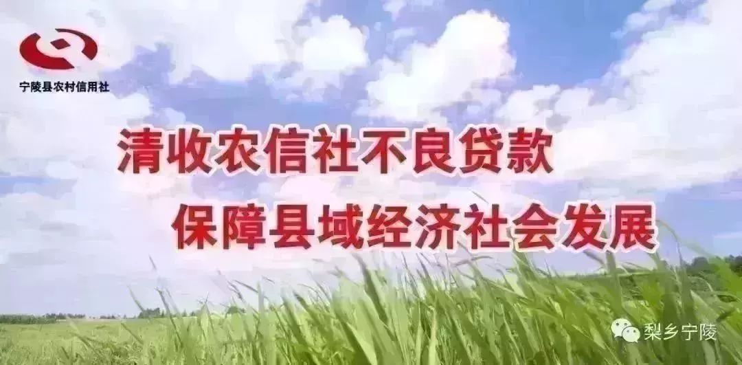 民兵点验暨开训动员大会,长武县扎实开展基干民兵整组点验