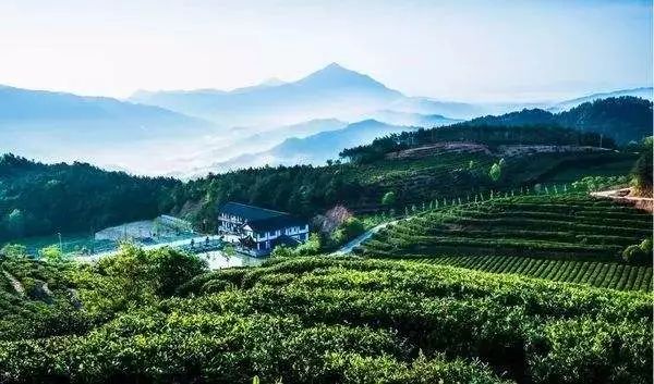 强迫晚婚，控制户口本，当红小花遭极品婆婆在线拆婚！