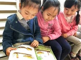 成都市中小学课后服务,成都市盐道街小学汇泉校区