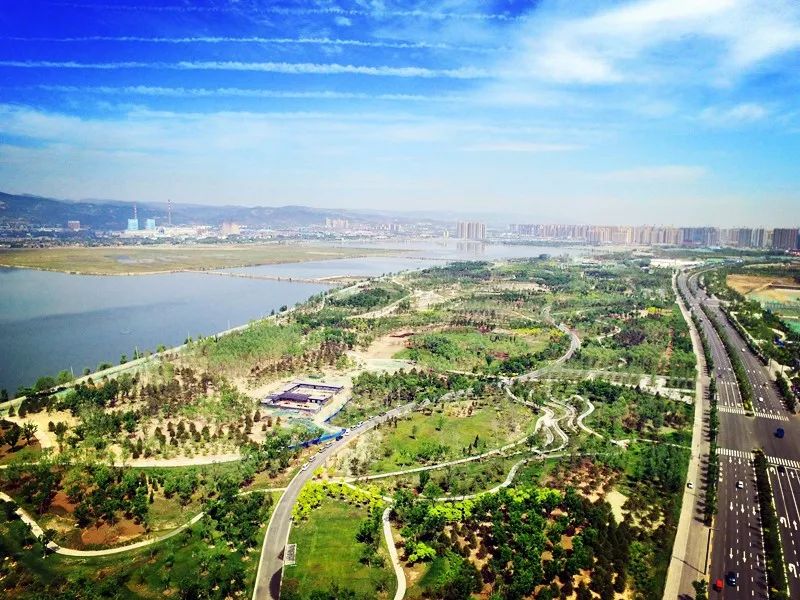 太原银杏林网红打卡地,太原网红打卡地景点