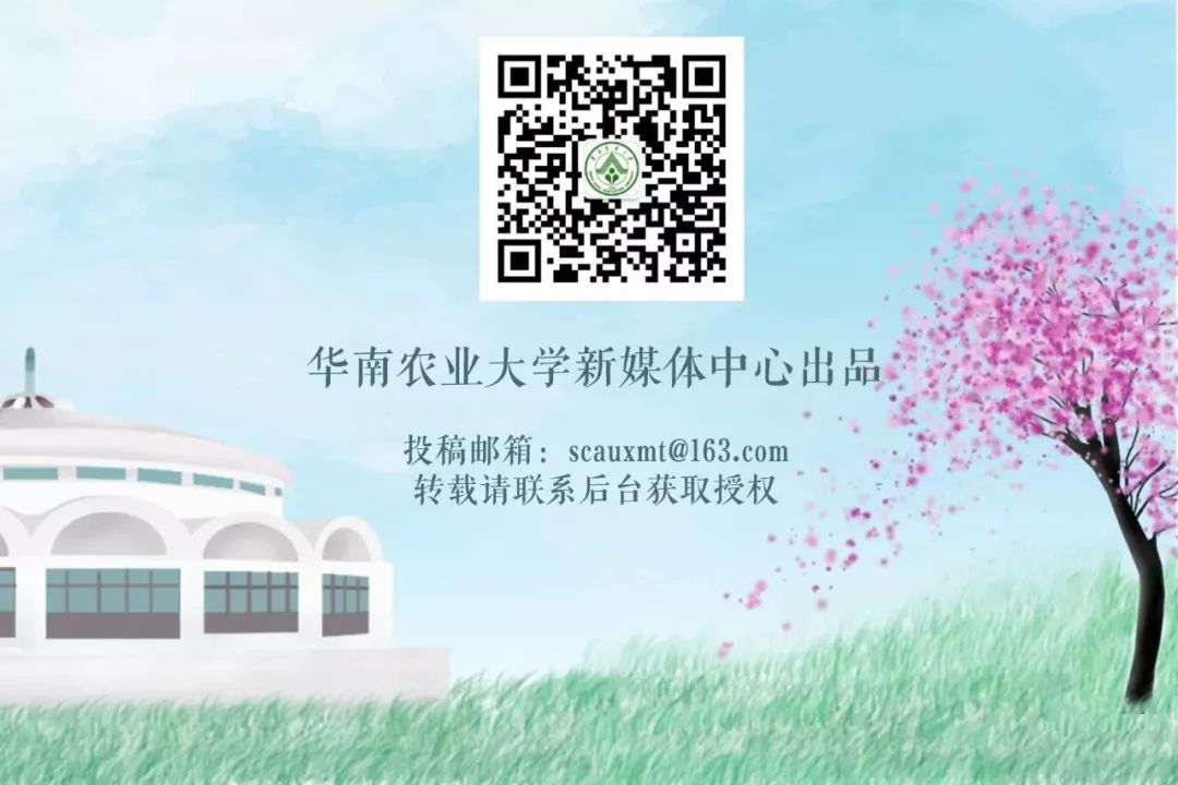 又一香港青年！考入岭大，弃文从医，成为我国兽医药理学学科奠基人