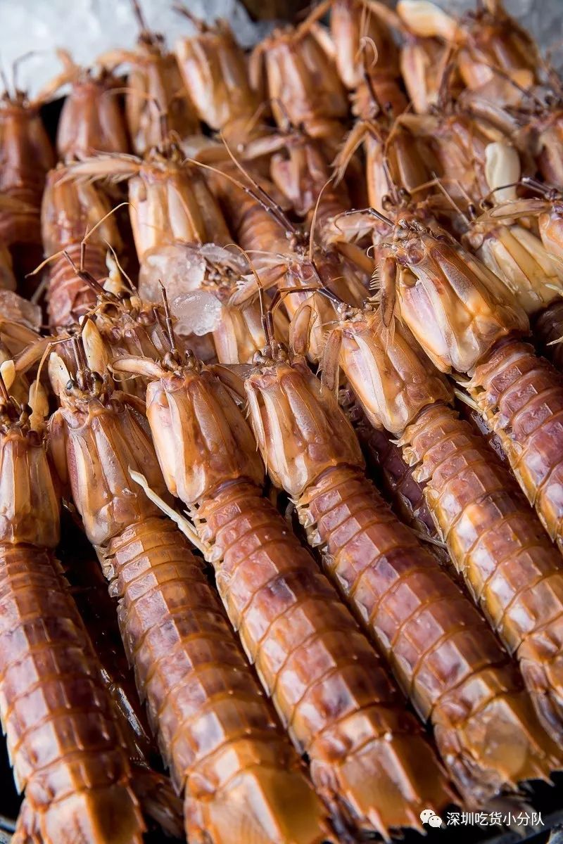 大中华喜来登酒店自助餐直播,大中华喜来登23楼自助餐团购