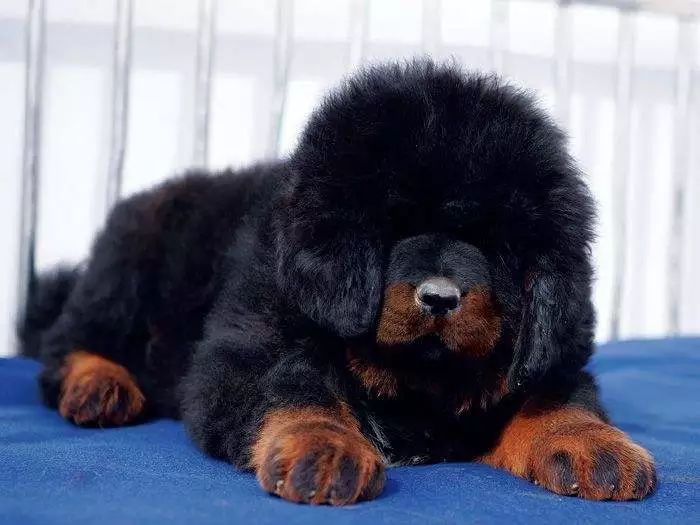 把我设置成不可见了是什么心态,为什么有人把朋友圈设成三天可见