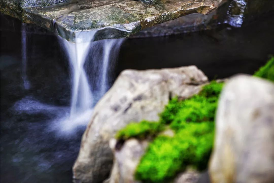 上海最高楼云端上的风景,在上海最高的楼俯瞰风景