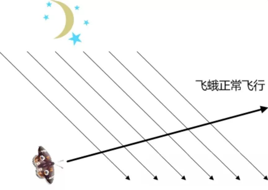 江浙沪隐藏的黑马县城,中国最宁静的小县城