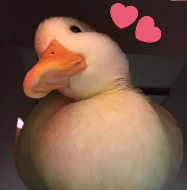 德云社也开始培养小鲜肉了?颜值完全不亚于偶像练习生!