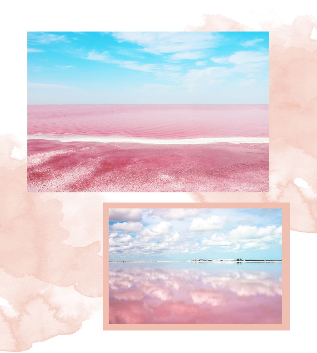 520去哪比较浪漫,520发愁送啥