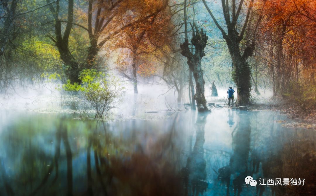 519江西景区免门票,519浙江旅游日免费景点