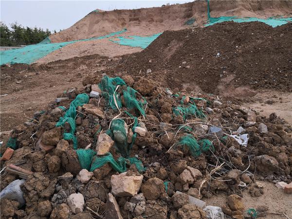 青科大团队研发出抑尘“神器”：裸土披“绿膜”告别扬尘