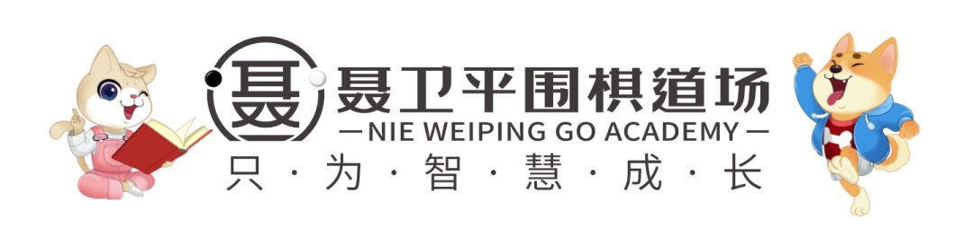 上海聂卫平围棋道场一个月多少钱,聂卫平围棋道场韩国围棋甲级联赛