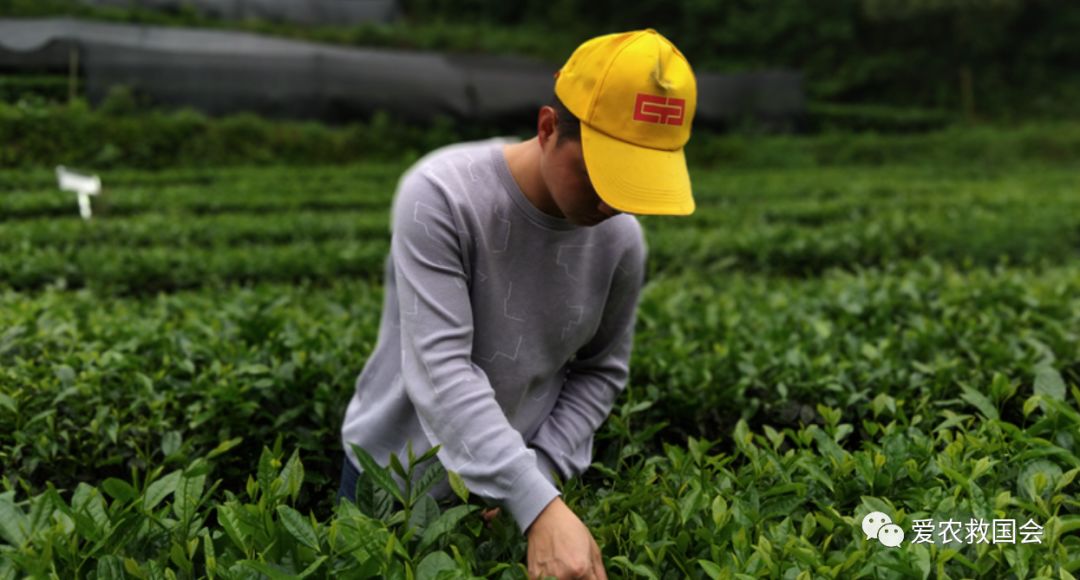 宀╄尪鍒惰尪鏁欏,鍒惰尪宸ヨ壓涓庤尪鏂囧寲