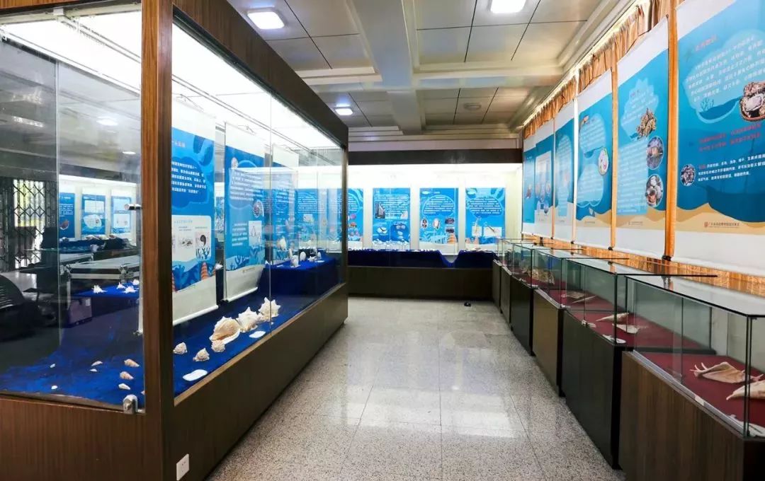 周末有节目了！又有世界级盛宴要来肇庆啦，免费入场，约吗？