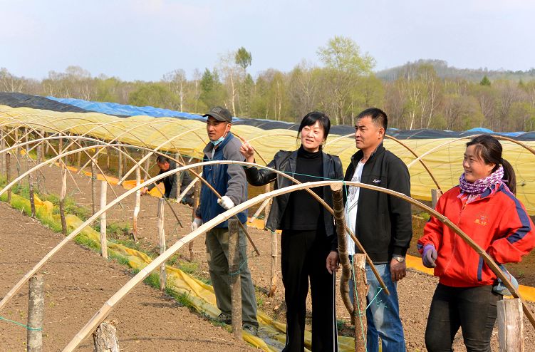 执“绿色”巨笔绘生态画卷——白山市建设中国绿色有机谷·长白山森林食药城素描