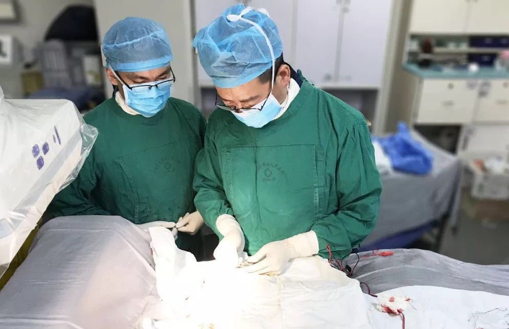 【感人】打动你的15个暖心医护故事...赚足眼泪~