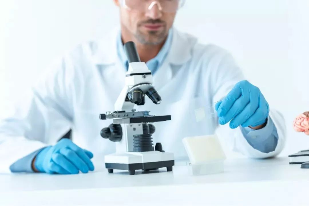 医生谈小孩挑食危害视频,儿科医生孩子挑食