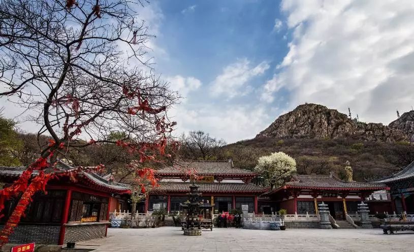 玩转大连森林公园,逛遍大连森林公园