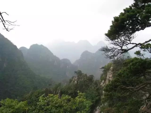 玩转大连森林公园,逛遍大连森林公园