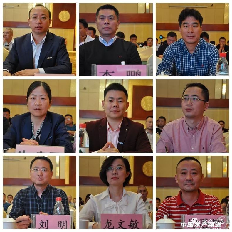 十年磨一剑！天邦七好再跨新台阶