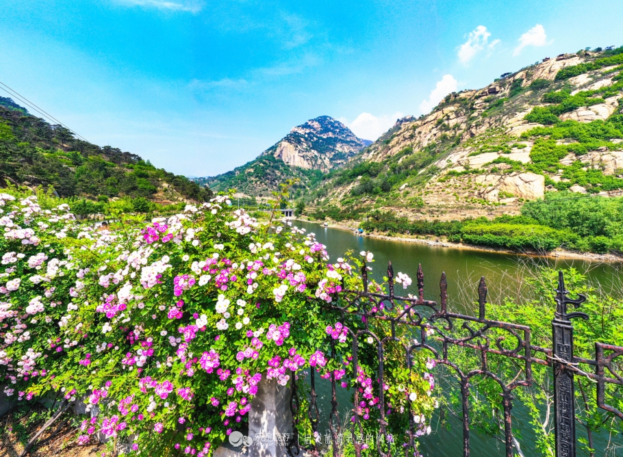 山东莱芜香山鸟语花香,莱芜景点香山
