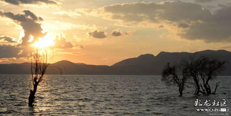 城味是什么,城味