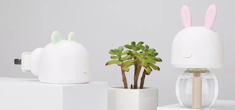 夏天消灭蚊子用蚊香还是杀虫剂,蚊香液消灭蚊子全过程