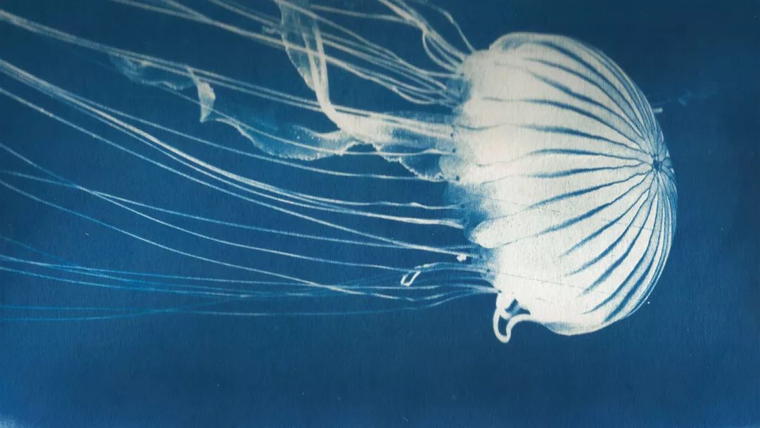 古法匠心百年传承图片背景,古法工艺照片