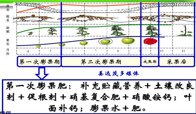 苹果迎来大变革,苹果产业高峰论坛