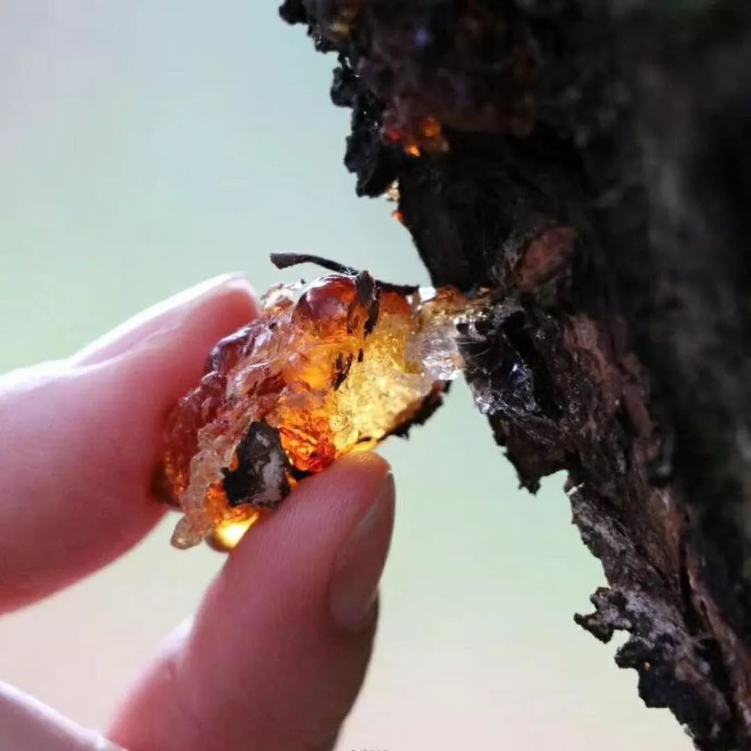 内调养颜原来真的很重要,内调有多重要