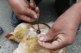 月入过万的高薪行业,冷门打工月入过万