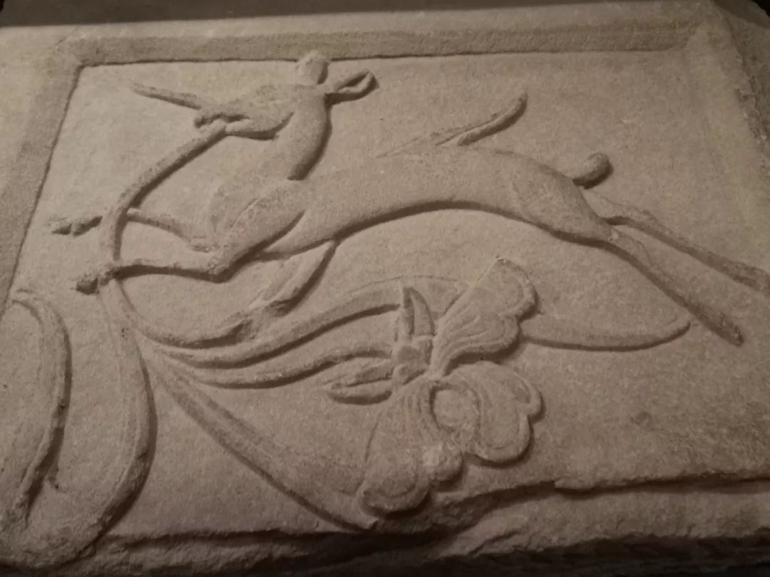 贵州第一个土司,明初贵州四大土司