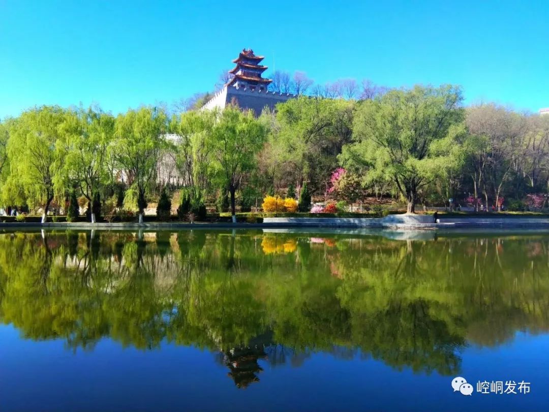 【速看】免费！统统免费！平凉人不知道就亏大了！