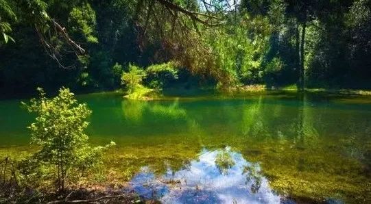 南平除了武夷山还有哪些景点,福建南平市武夷山风景区游记