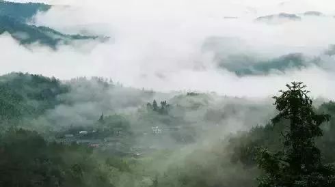 南平除了武夷山还有哪些景点,福建南平市武夷山风景区游记